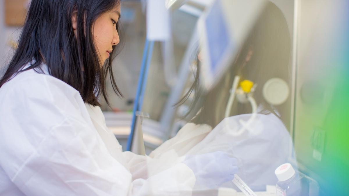 Student conducting chemistry experiment