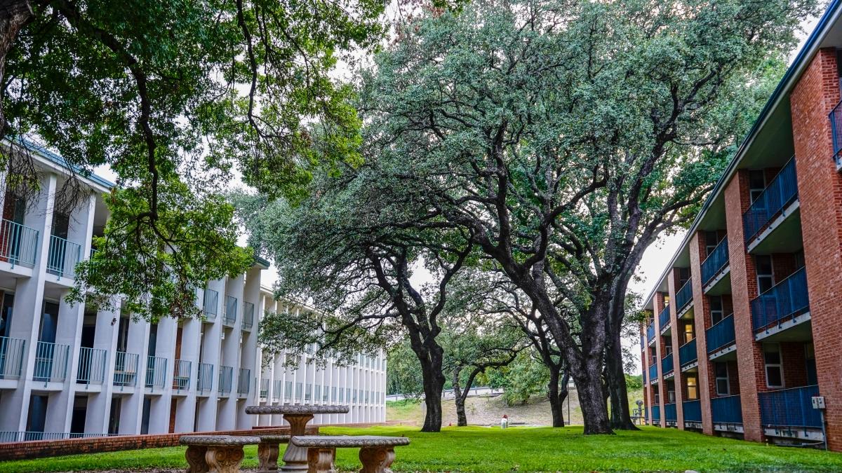 Lower campus outside view with picnic area between Witt-Winn and Herndon halls